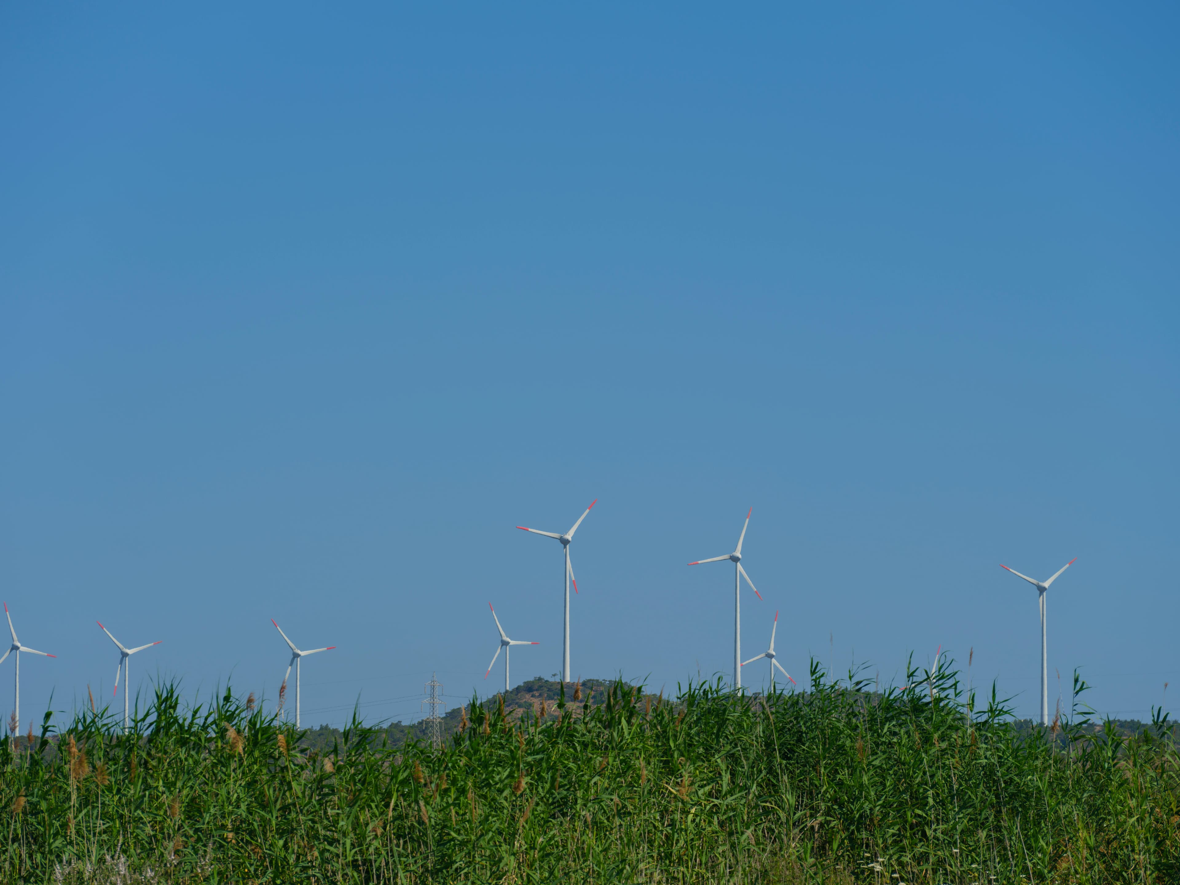 Molinos de viento